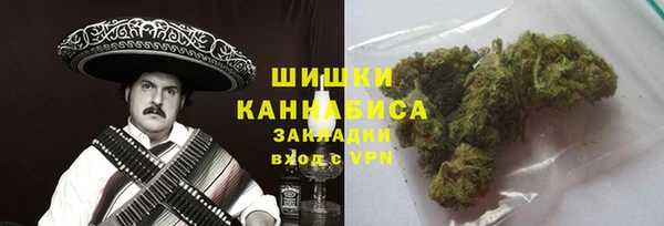 МДПВ Рославль