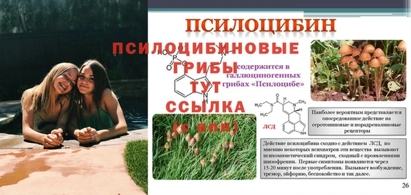 таблы Ростов