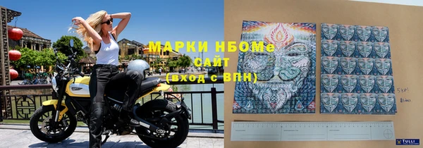 МДПВ Рославль