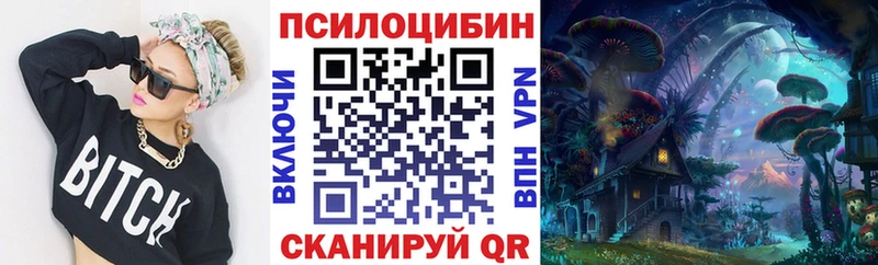 где найти наркотики  Чебоксары  Галлюциногенные грибы Psilocybe 